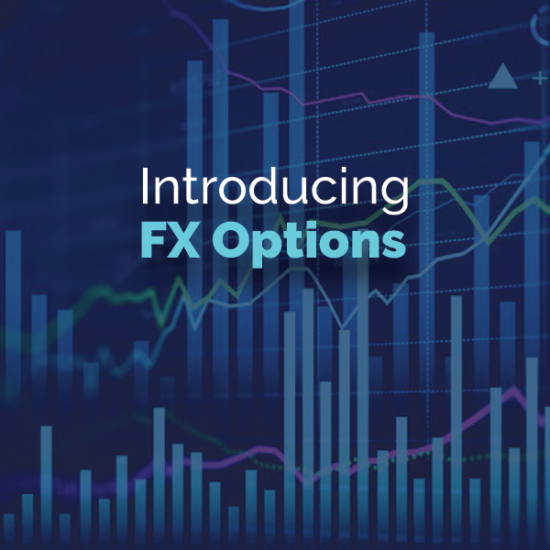 FX Options from Monex USA