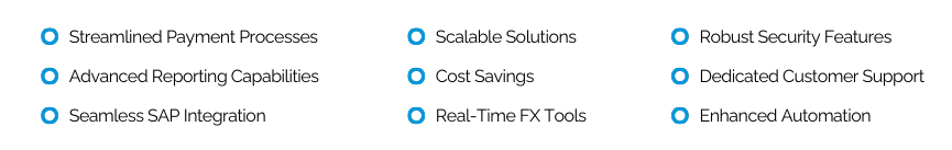Benefit of Monex USA for SAP Users (1)